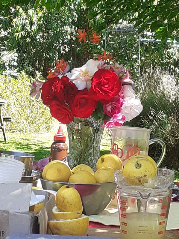 A table with a vase of flowers, lemons, and a measuring cup. - Country Charm Cozy  Cottage - Meets NZ HH heating Cert. Outdoor Wood fired bath (Bunnythorpe)