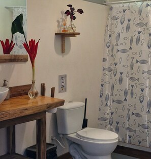 Regadera, toallas, jabón, papel de baño 