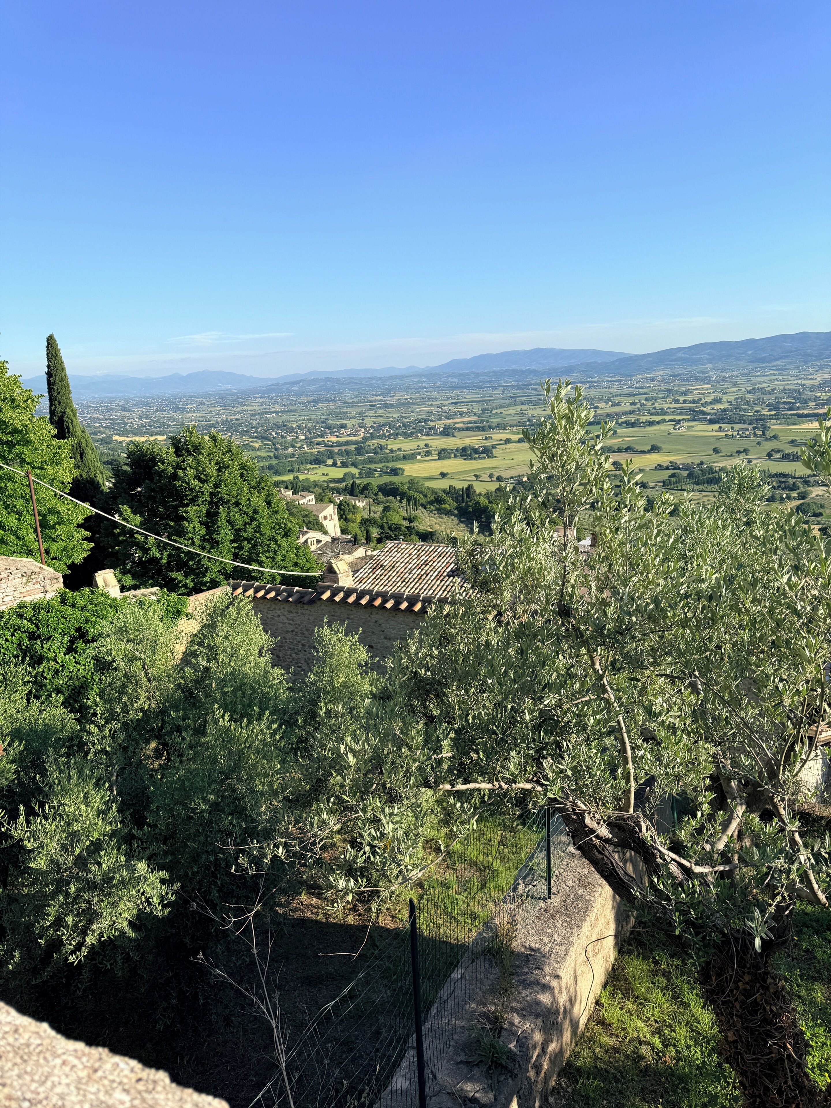 Un paysage rural avec des oliviers, un mur de pierre et une vue lointaine sur une ville.