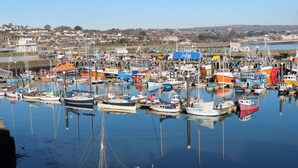 A marina with various boats docked, surrounded by a town with houses in the background.