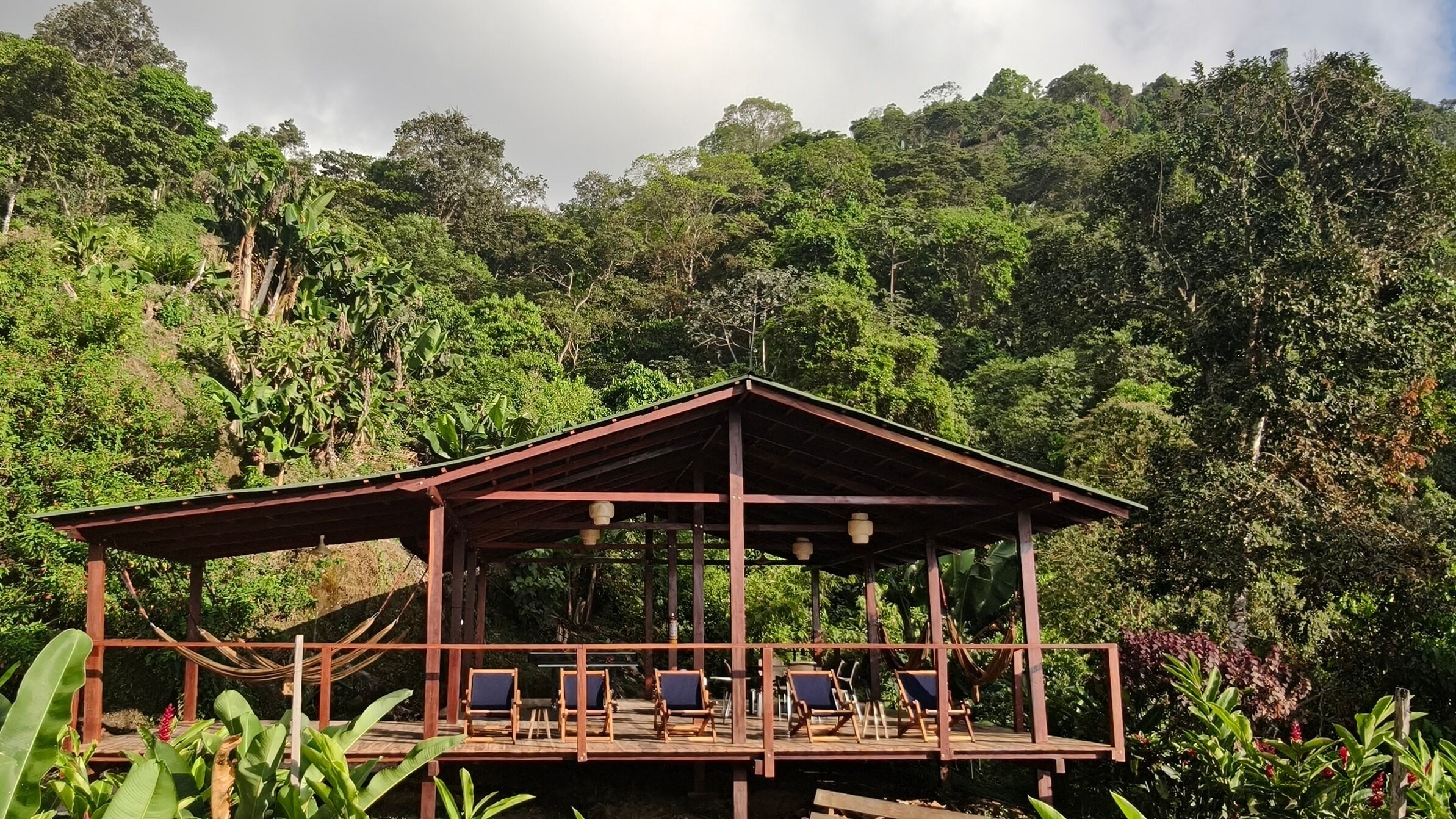 Un pavillon en bois doté d’un toit, entouré d’une végétation luxuriante et d’arbres.