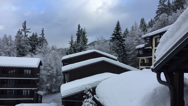 Ein mit Schnee bedecktes Chalet mit mehreren Gebäuden, umgeben von schneebedeckten Bäumen.
