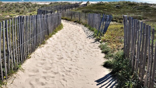 A sandy pathway bordered by wooden fences leading to a beach. - Studio cabin, AC, sea view - 5 guests (Canet-Plage)