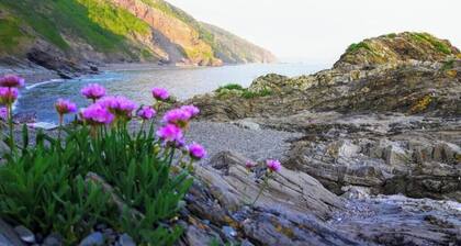 Flamank – Cosy Countryside Caravan | Dog-Friendly Escape near Looe