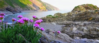 Flamank – Cosy Countryside Caravan | Dog-Friendly Escape near Looe