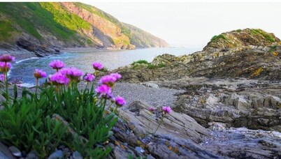Cosy Camping Pod – Peaceful Countryside Escape near Looe