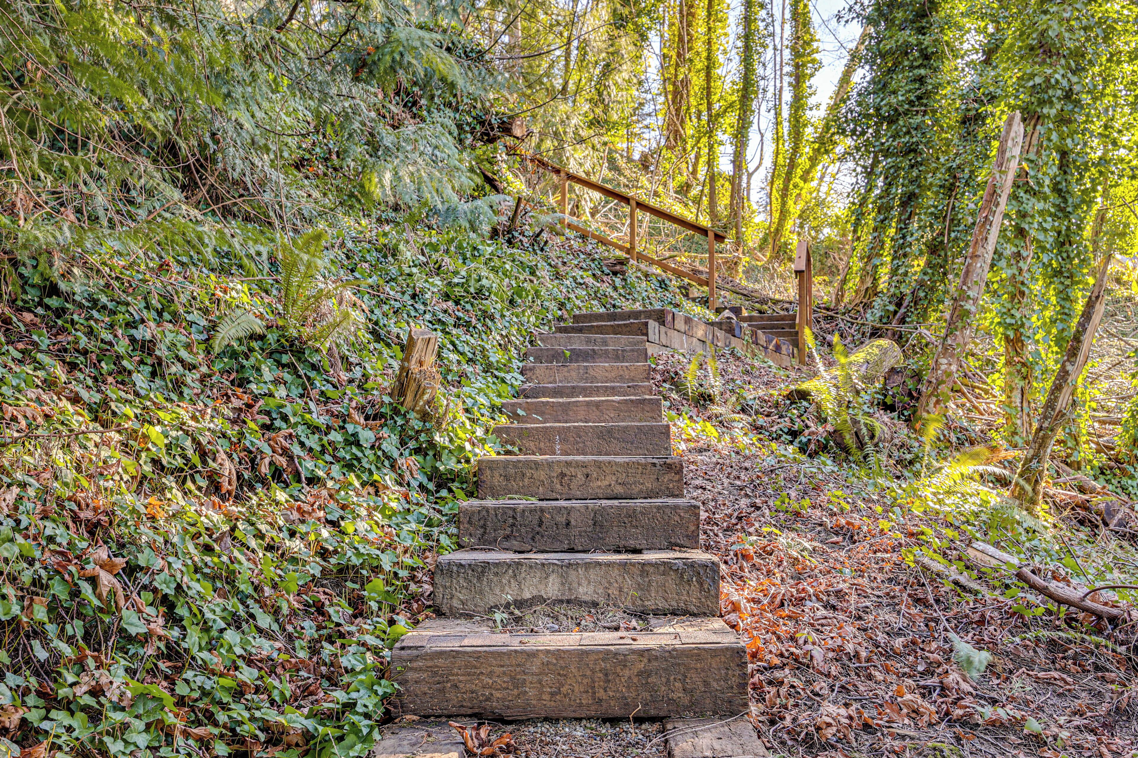 Una escalera de madera rodeada de abundante follaje.