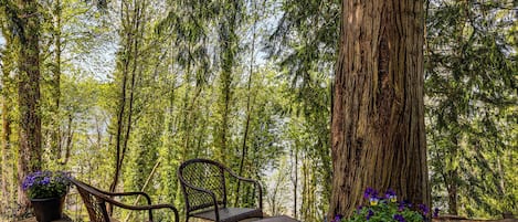 Ferienhaus (2 Bedrooms) | Innenbereich
