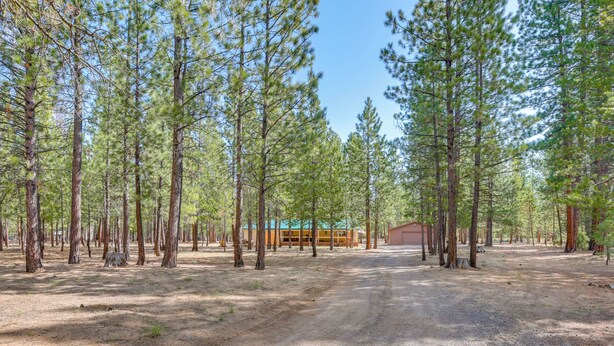 A forested area with a building that appears to be a lodge or cabin. - Deschutes Forest Basecamp! Oregon Cabin (La Pine)