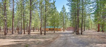 Deschutes Forest Basecamp! Oregon Cabin