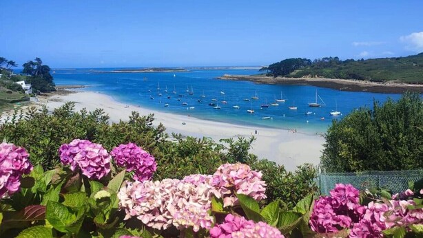 A beach with boats, a clear sky, and hydrangea flowers in the foreground. - COMFORTABLE VILLA 5 MINUTES WALK FROM GRÈVE BLANCHE BEACH (Plouguerneau)