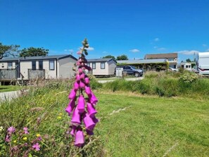 Property grounds - Trevithick – Peaceful Cornish Countryside Escape near Looe & Polperro (No Man's Land)