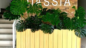Una jardinera de madera con hojas verdes grandes, un muro de ladrillo y la palabra 'DASSIA' en letras blancas.