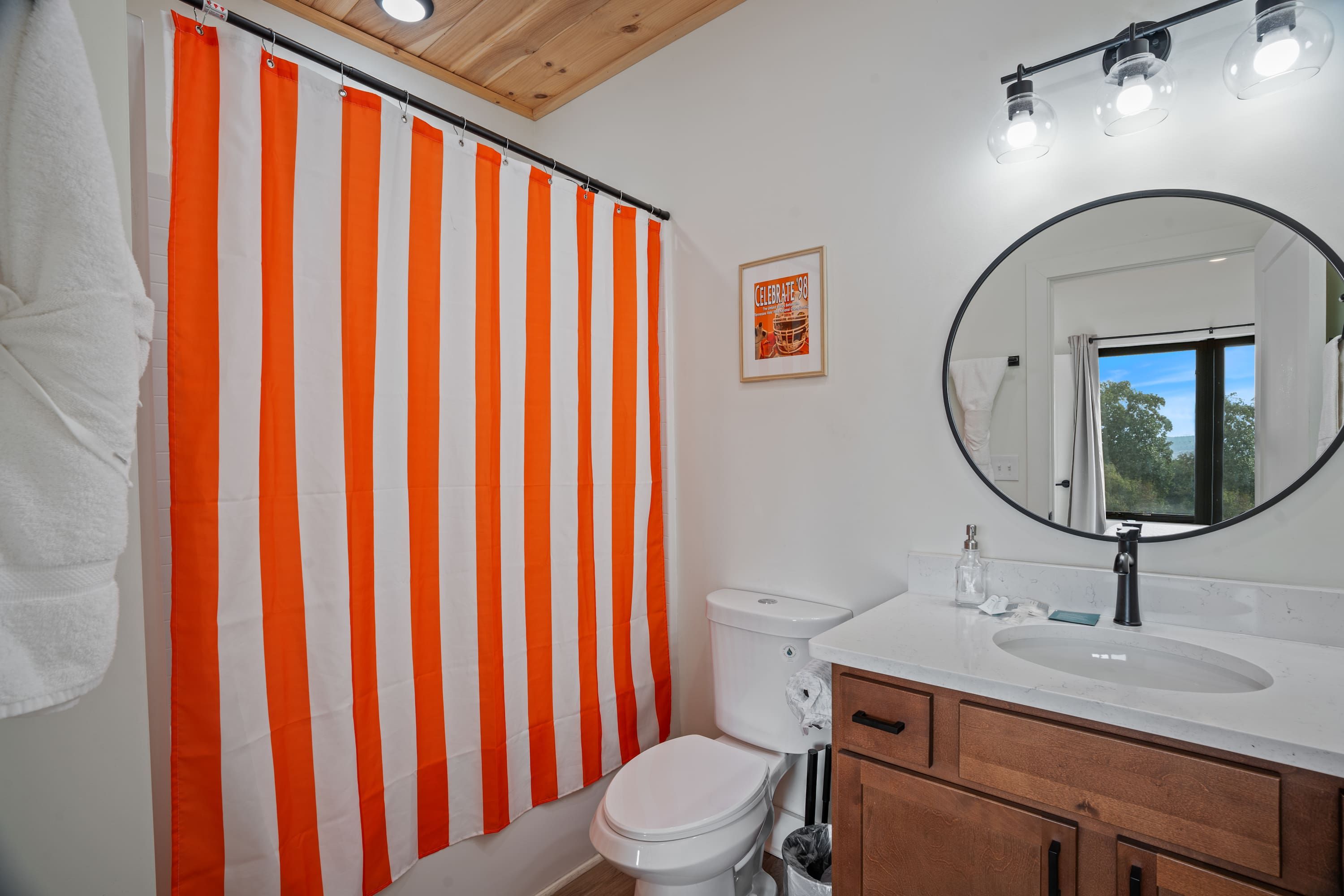 A bathroom with a striped shower curtain, a toilet, a sink with a mirror, and a framed picture on the wall.