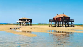 Accommodatie ligt op het strand