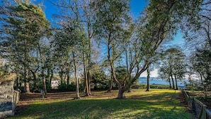 Un'area esterna tranquilla con alberi, un muro in pietra e vista sull'acqua.