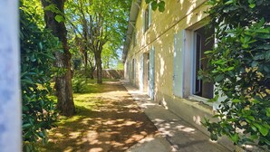A pathway leading to a building with a row of windows, surrounded by trees and greenery. - Libourne near Saint-Émilion, Villa Beauséjour (Libourne)