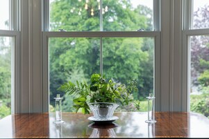 Una mesa con un florero de vidrio transparente que contiene una planta, ubicada frente a una ventana con vistas a árboles.