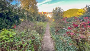 A garden pathway leading to a building with a yellow wall. - ImmoStay-bright apartment with private garden #1 (Bremen)