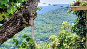 Un jardín con un árbol, una planta en maceta y vistas a un paisaje montañoso.