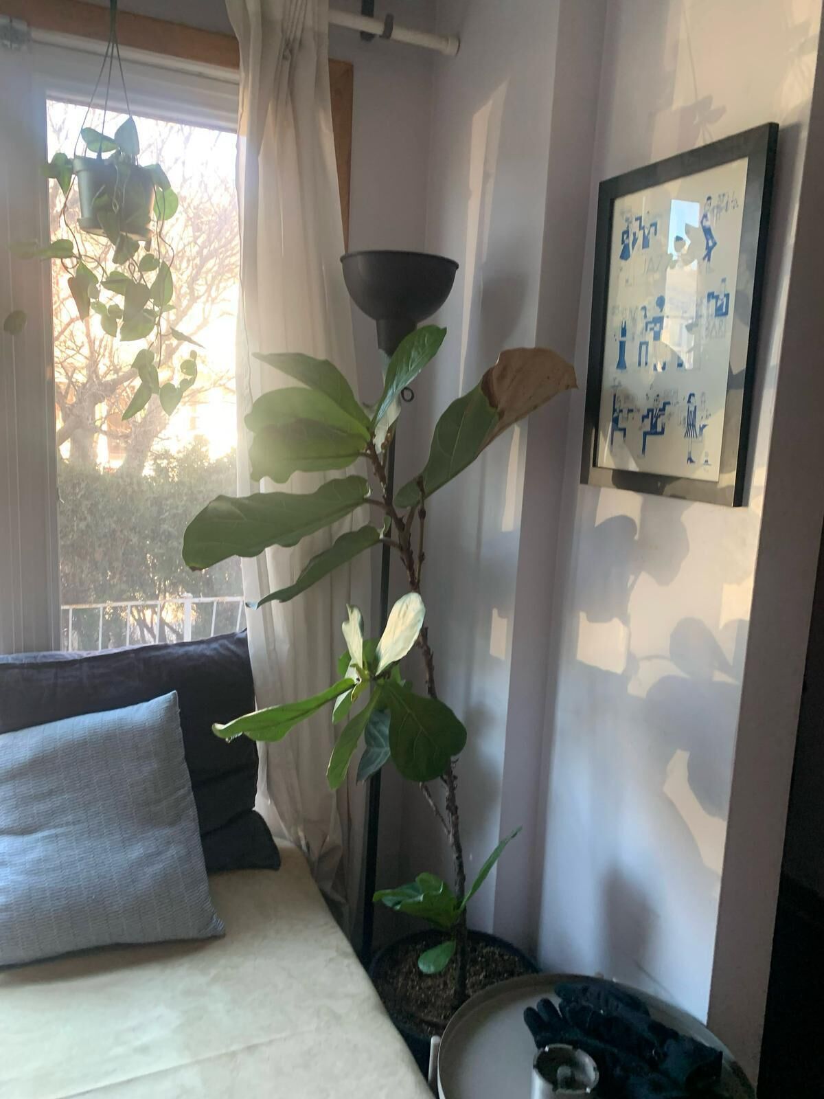 3 bedrooms, desk, iron/ironing board, WiFi (free)