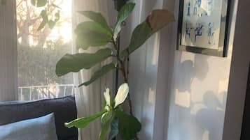 3 bedrooms, desk, iron/ironing board, WiFi (free)