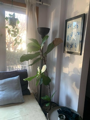 A room with a bed, a potted plant, a lamp, and a framed picture on the wall.