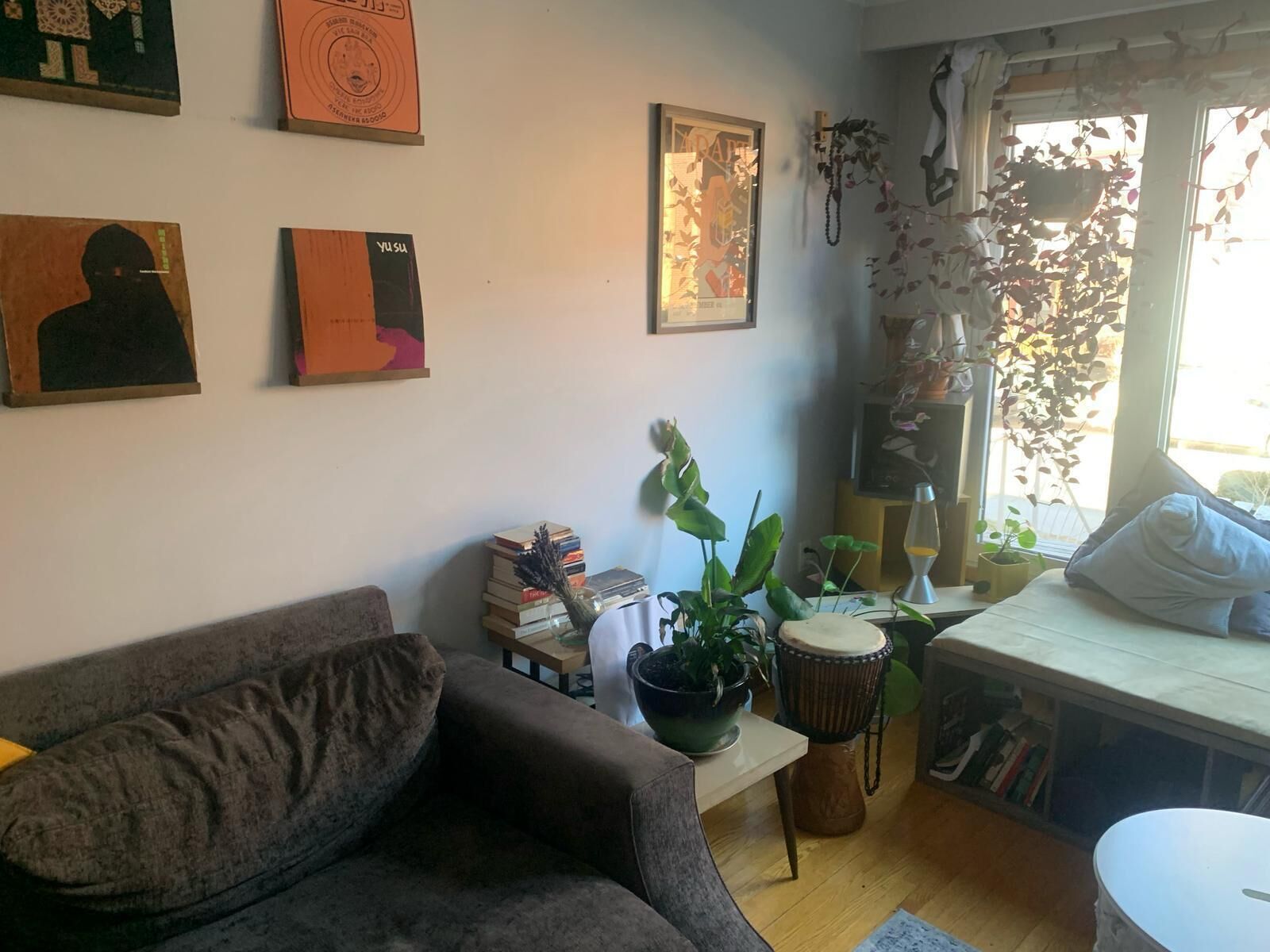 TV, computer monitors