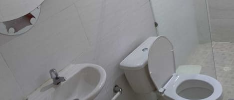 Shower, towels, soap, toilet paper