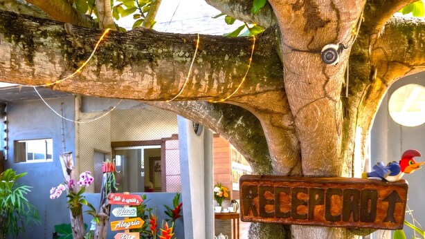 Un árbol con un cartel que dice 'RECEPCAO' y un adorno de pájaro.
