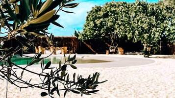 Sun-loungers, beach towels