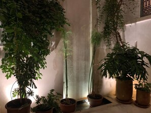 Ein Zimmer mit Zimmerpflanzen, einer Wasserspiele und einer Wand mit einer Dekoration.