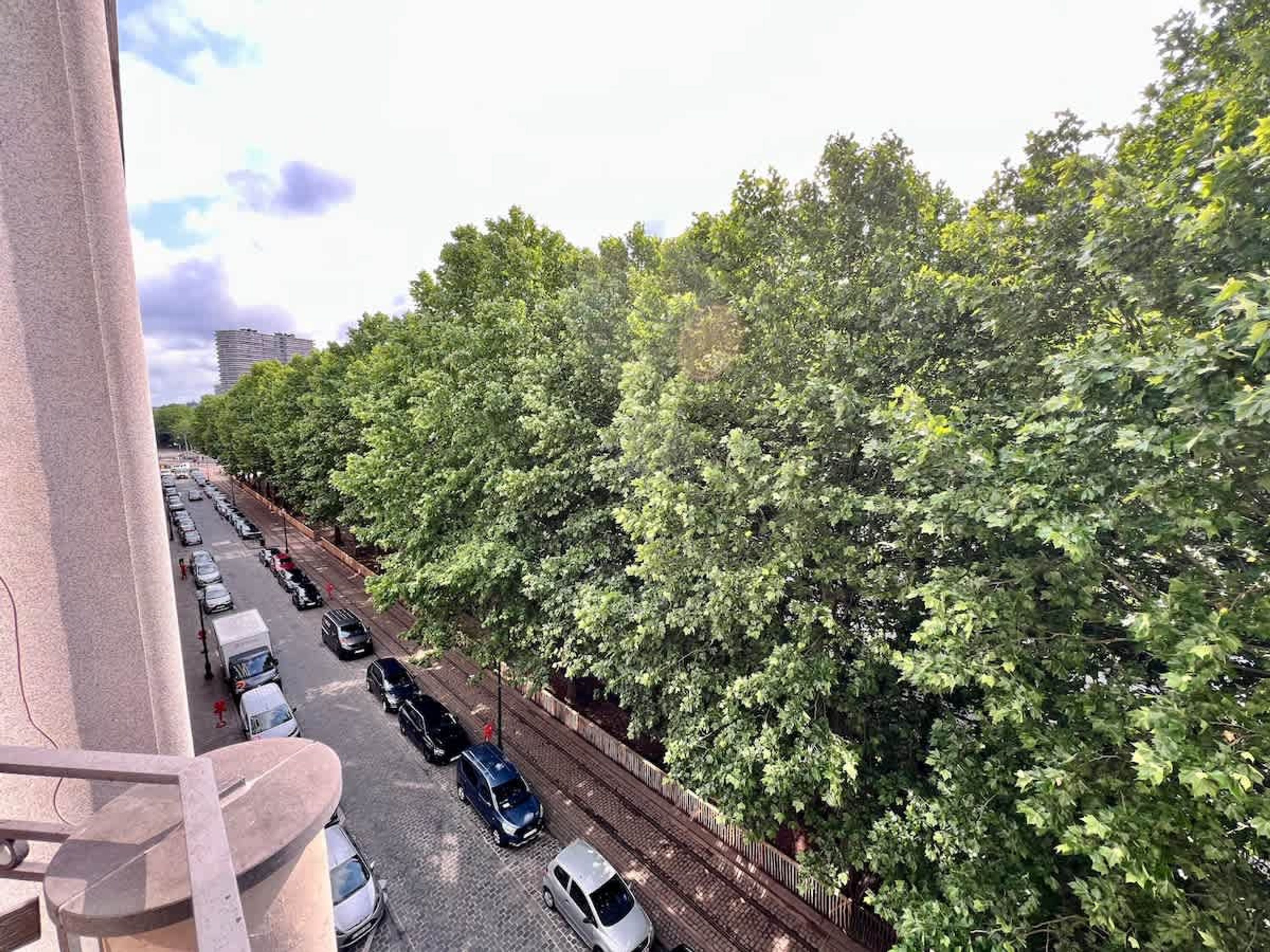 Una calle bordeada de coches aparcados y árboles.