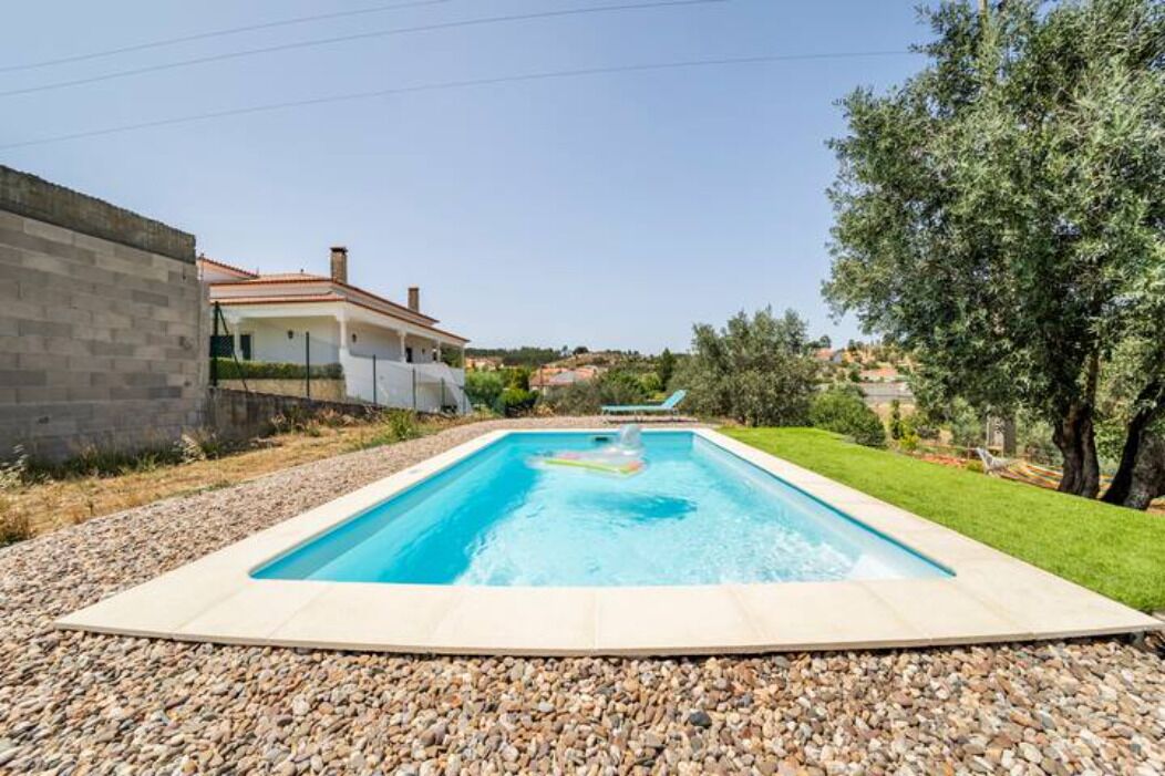 A rectangular swimming pool with a pebble border, surrounded by a grassy area and a tree.