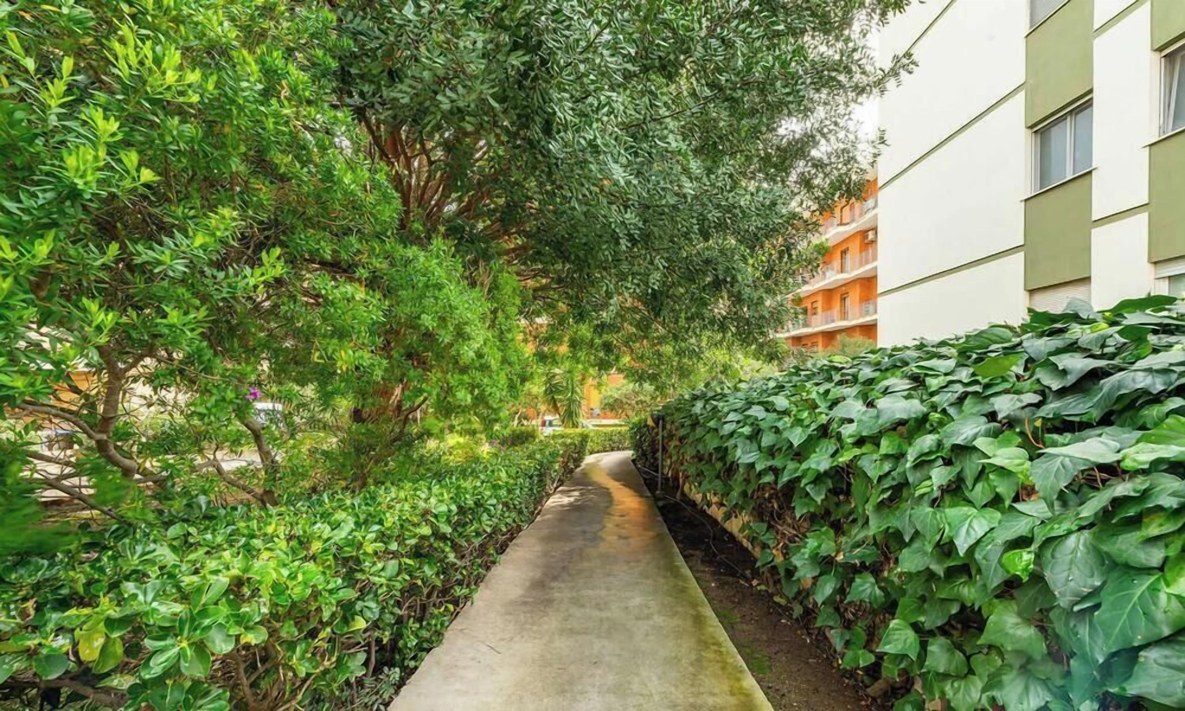 A pathway flanked by lush greenery and a building with balconies.