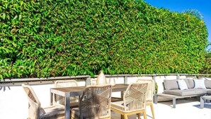 Une terrasse dotée de meubles en osier et bordée d’une haie.