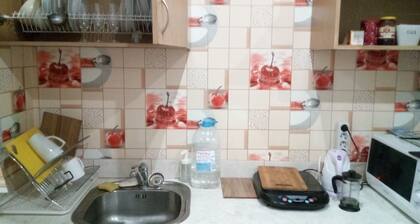 Mini Studio 15 minutes' walk from Riga's historic center