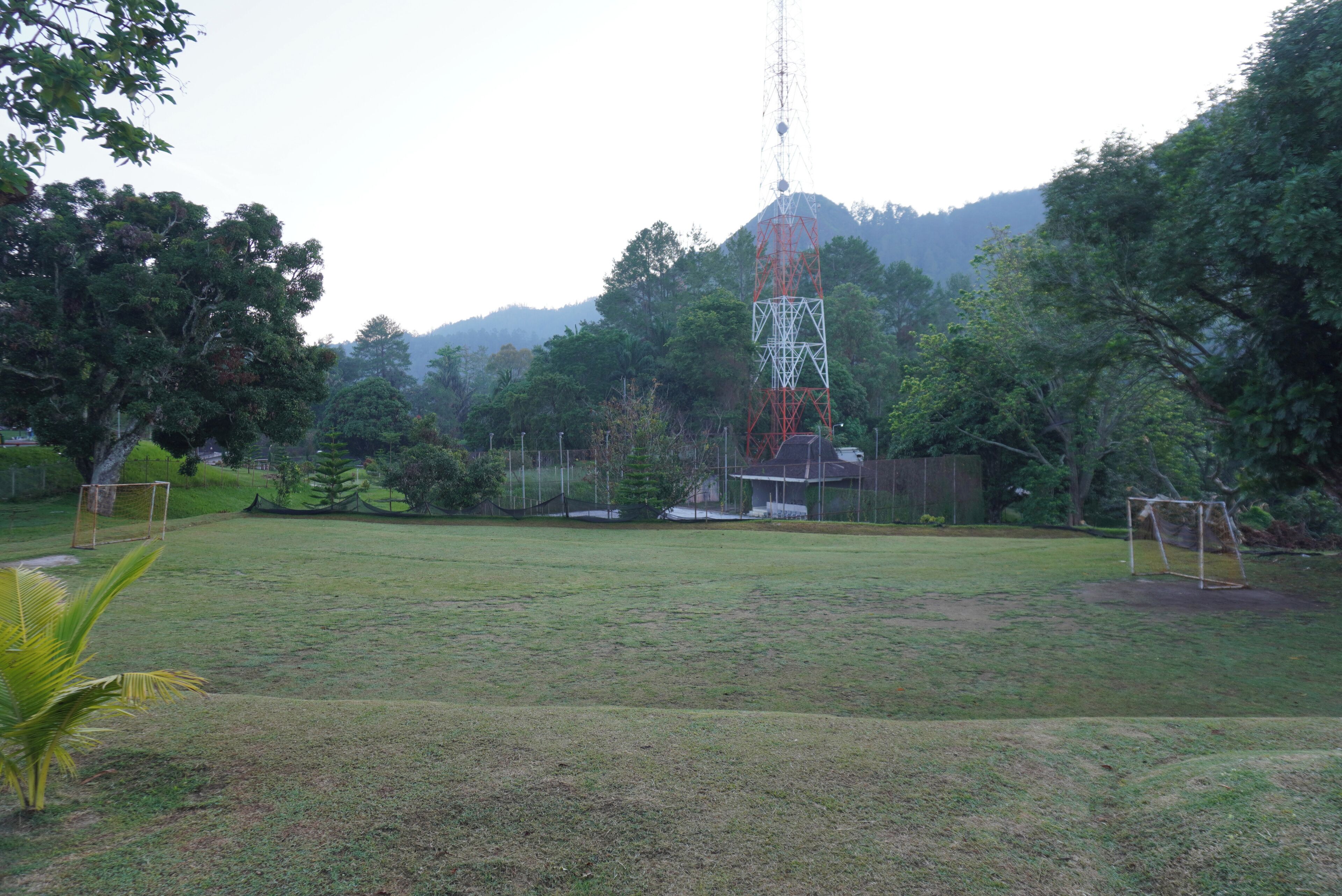A grassy field with a tall communication tower, trees, and a fenced area.