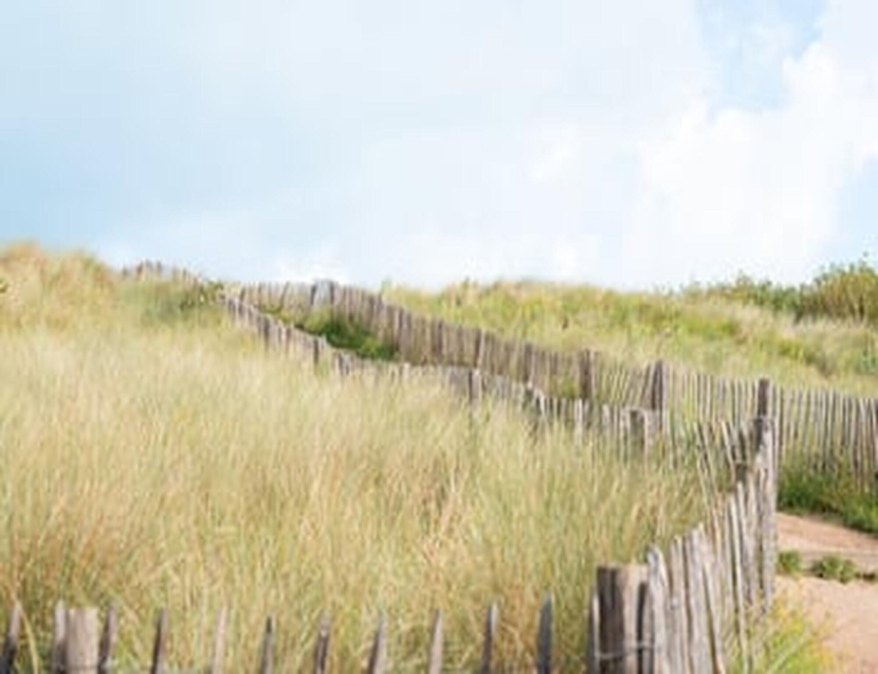 A wooden fence in a natural setting.