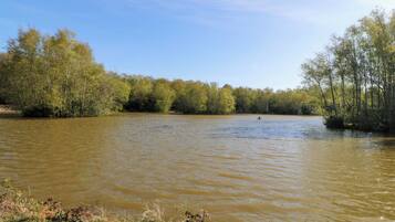 A river with trees on both sides and a boat in the distance.