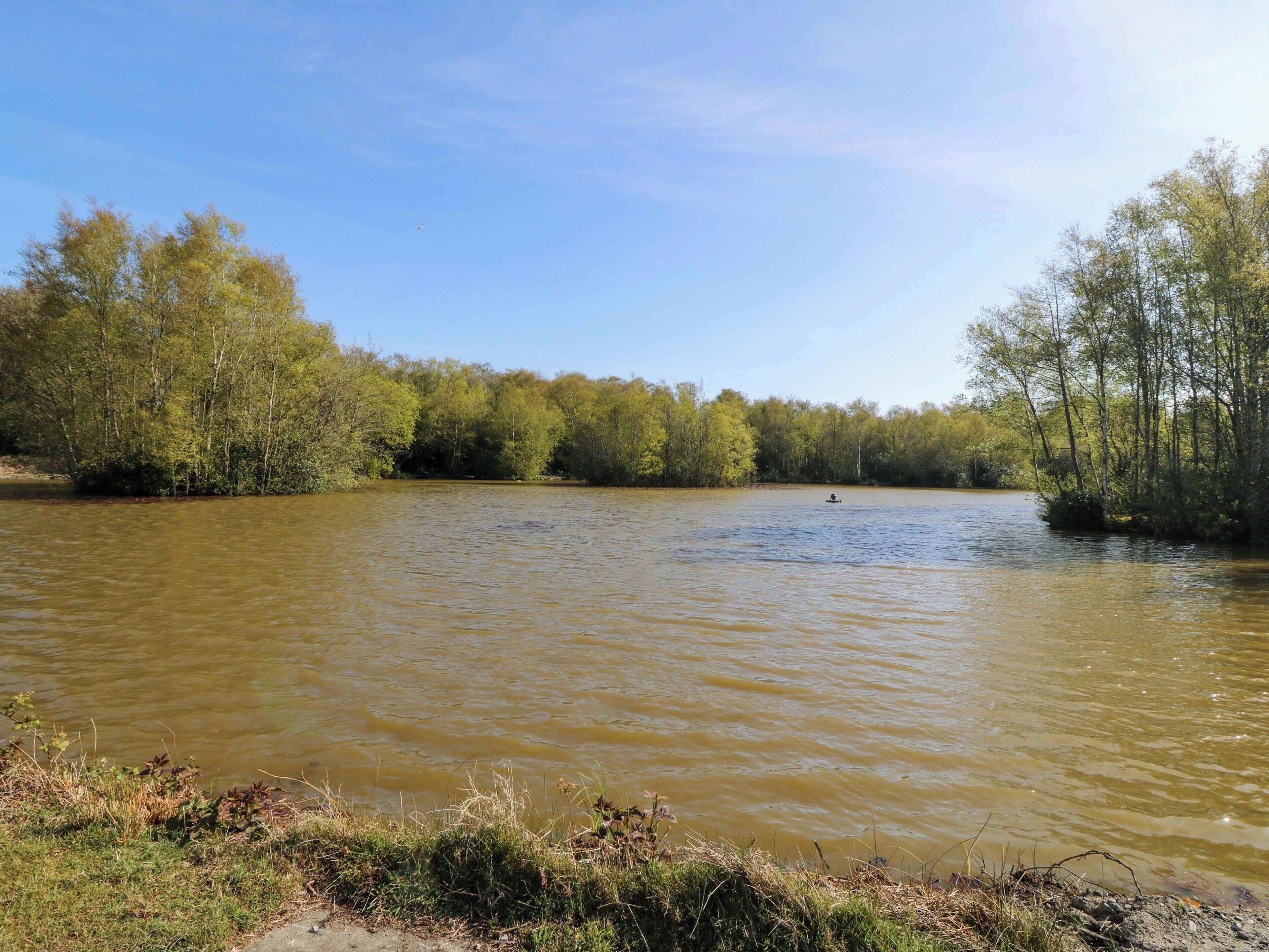 A river with trees on both sides and a boat in the distance.