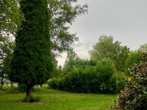 Un paisaje natural con diversos árboles y arbustos.