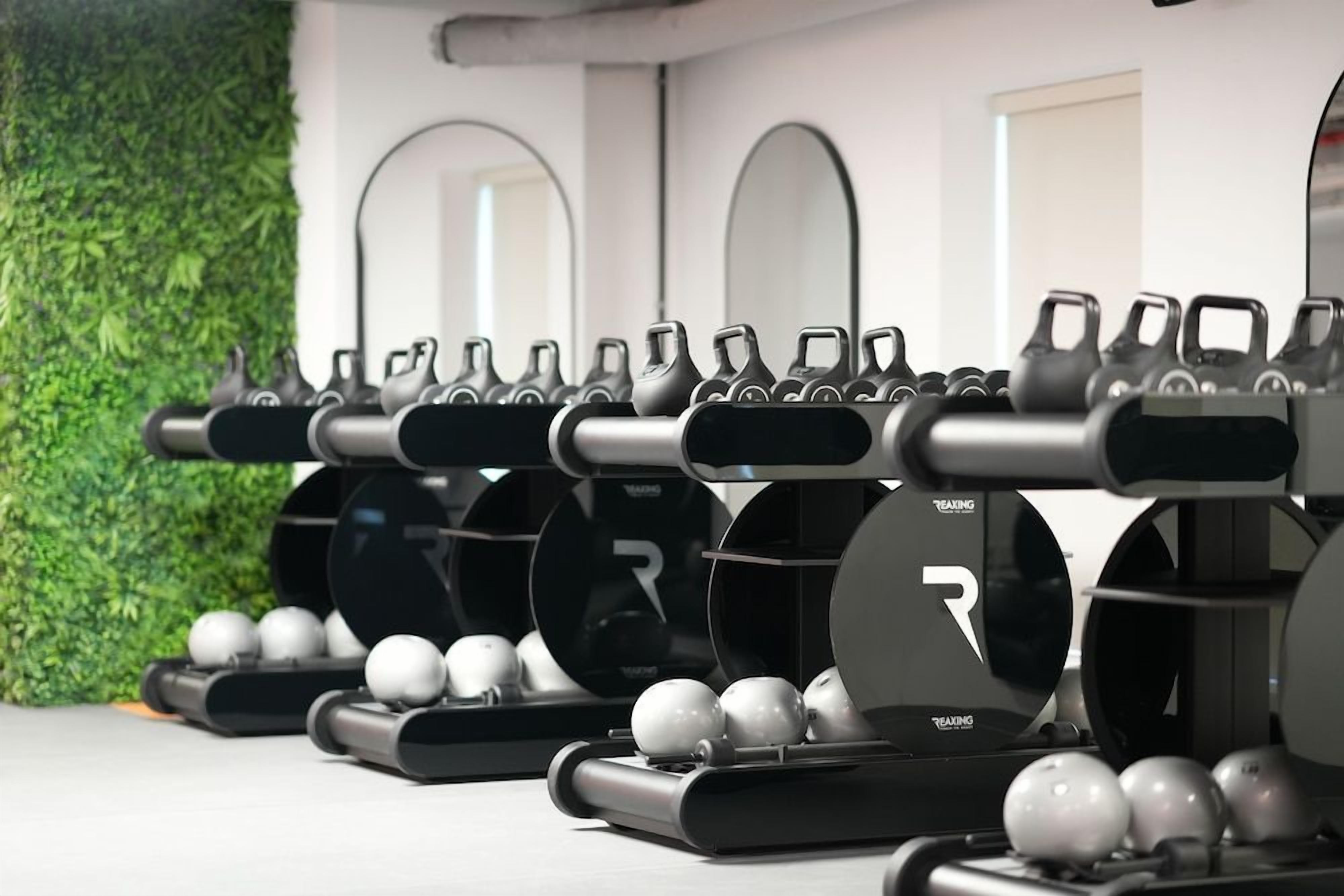 A row of weightlifting equipment with black handles and silver weights, set against a wall with a green leafy backdrop.