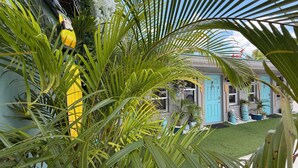 A house with a blue door, surrounded by lush green foliage.
