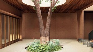 A room with a large tree, wooden ceiling, and a stone bench.