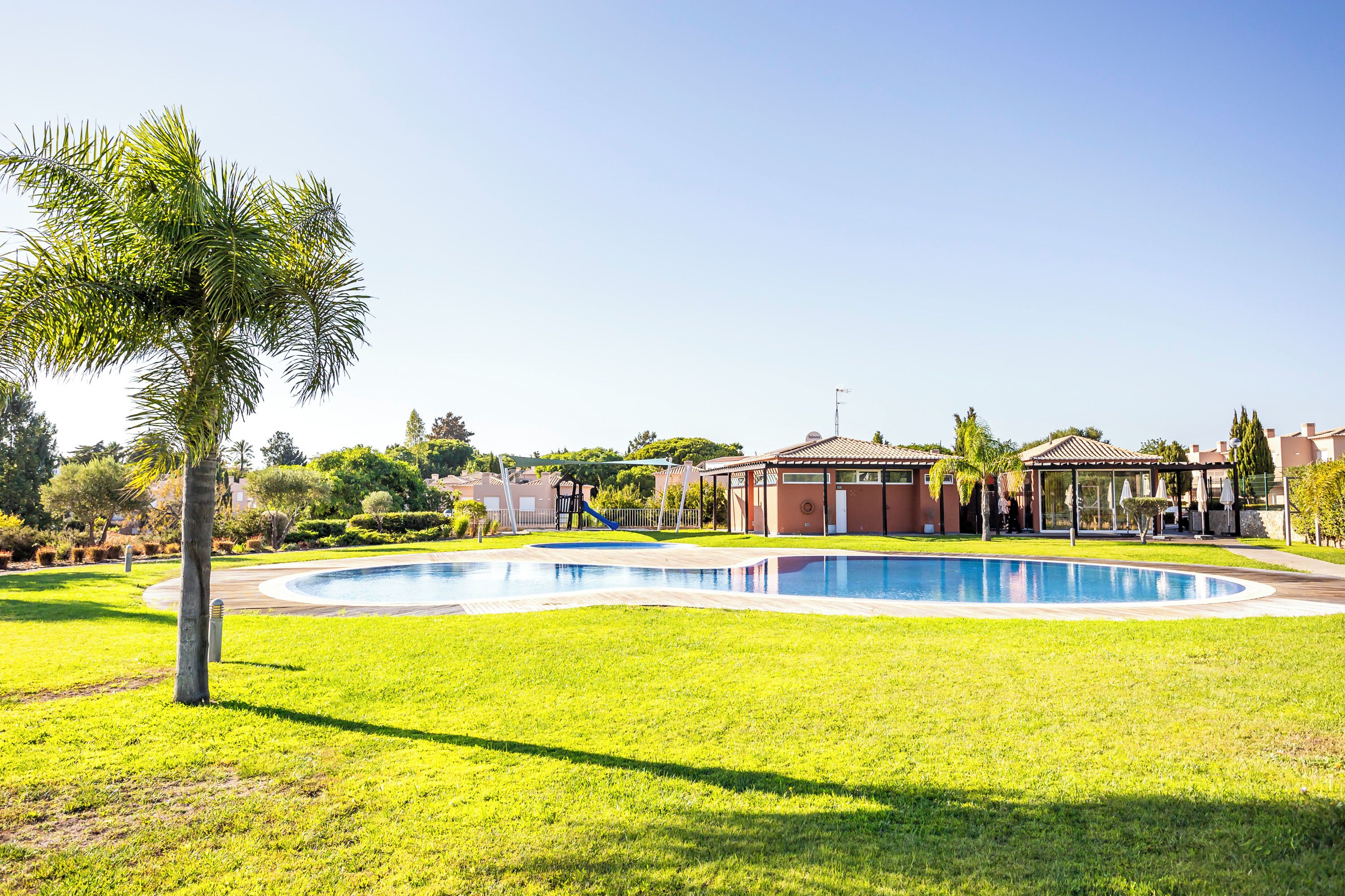 Una piscina rodeada por un césped cuidado, una palmera y un edificio con tejado de baldosas.