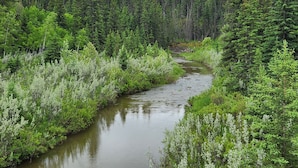 A river flowing through a dense forest with tall trees and lush greenery. - Riverfront Dome Retreat | Private Bath + Views (Calgary)