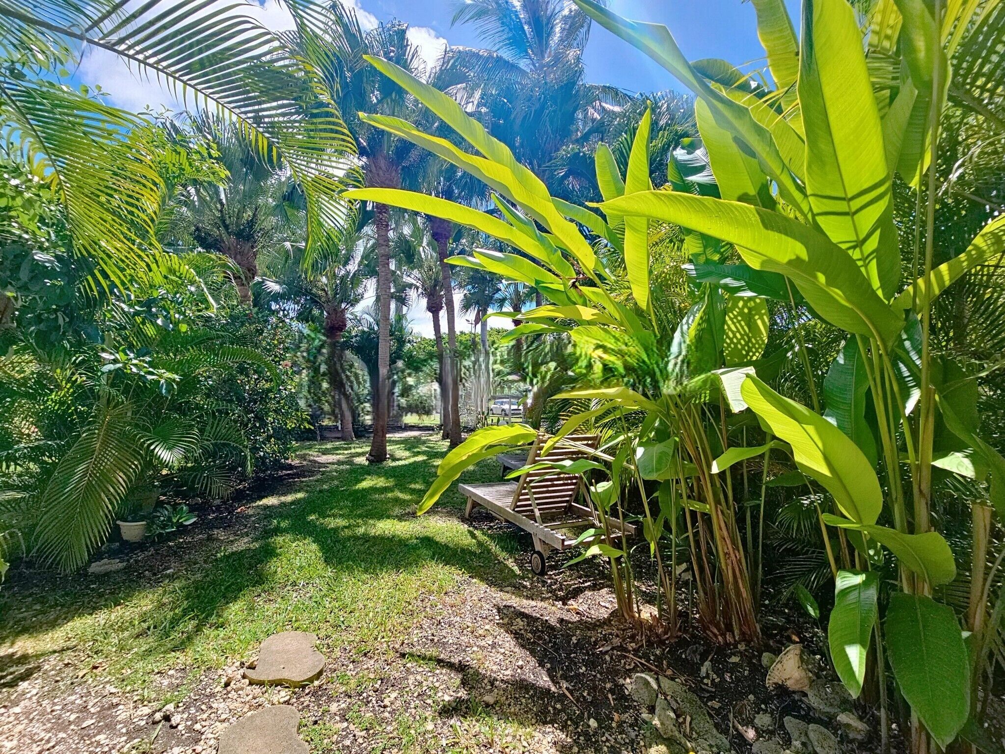 Un jardin agrémenté de diverses plantes tropicales, un chariot en bois et un chemin pavé.