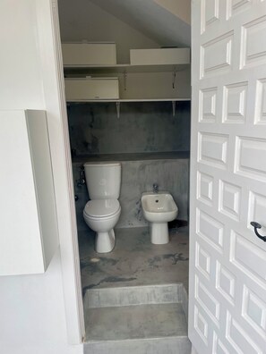 Shower, hair dryer, bidet, towels