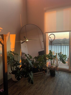 Ein Zimmer mit einem großen Spiegel, einem Deckenventilator und mehreren Blumentöpfen.